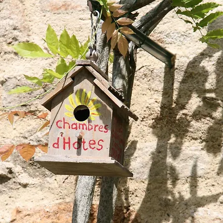 D'hotes Fleur De Lis Bed and Breakfast